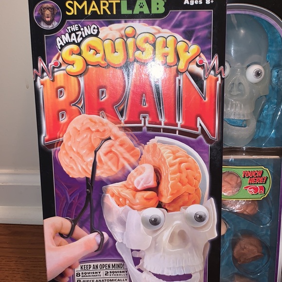New‼️The Amazing Squishy Brain by Smart Lab - Picture 2 of 6